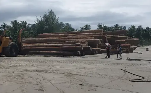 The loading activity of HPH logs from one of the companies on Tinitit Beach, Siberut Island, Mentawai Islands, West Sumatra last July. Image by Febrianti. Indonesia, 2020.