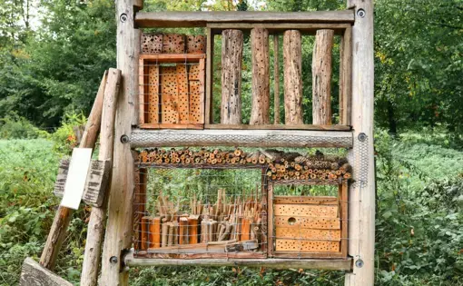 Insect house hotel made out of natural wood material created to provide shelter for insects to prevent their extinction. Image by Shutterstock.