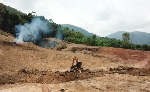 Deforestation in Indonesia