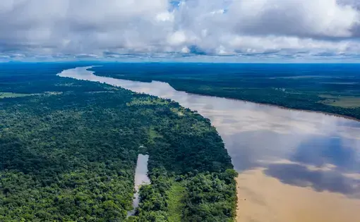 Aerial shot of Colombian Amazon