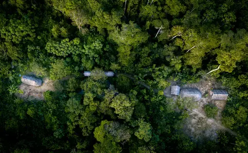 Aerial shot of indigenous community in the Amazon.