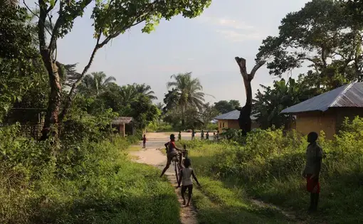 Communities living in the Congo Basin rainforest are being granted large tracts of land to manage sustainably