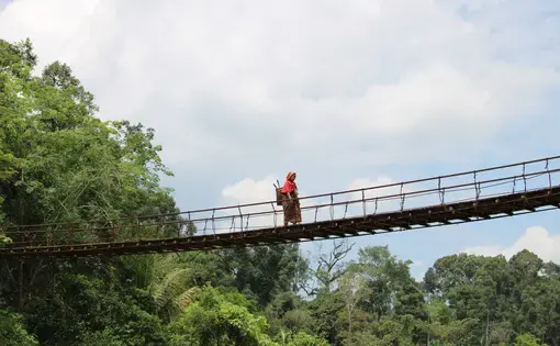 Woman crosses a bridge in the Guguk Customary Forest.