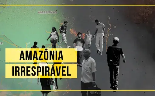 Animação mostra como pandemia e queimadas afetaram a Amazônia.