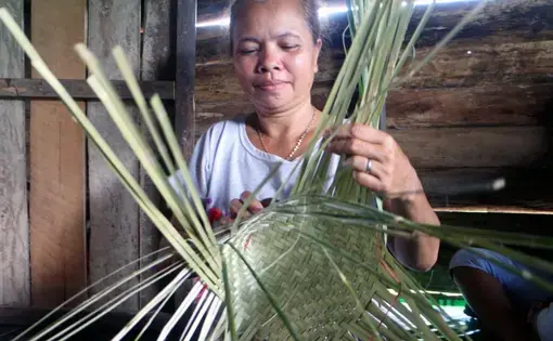 Woman is weaving together a basket in West Kalimantan.