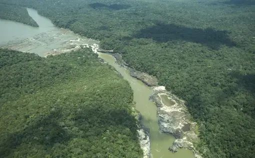 Toma aérea de la cascada Jirijirimo, ubicada en el río Apaporis, al norte del departamento de Amazonas, Colombia.