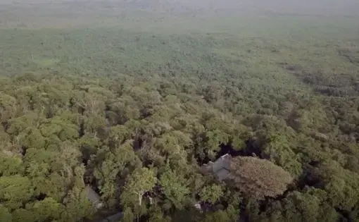 Aerial view of forest in the Democratic Republic of Congo.