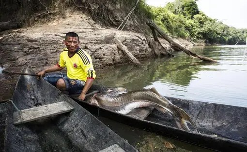 An indigenous Macuna sitting in a fishing boat on the Apaporis River with a large fish by his side.