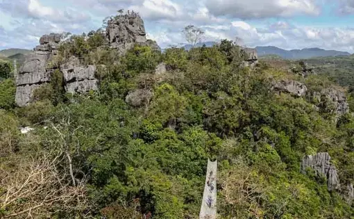 Aerial view of limestone formations surrounded by trees