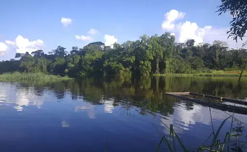 The Campo river with a lush forest along its banks