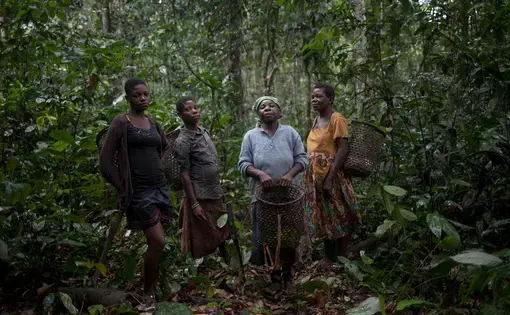 Four Baka women stand side-by-side together in the rainforest.