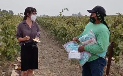 A woman wearing grey blouse, a black skirt, and a white face mask and holding a pen and notebook stands on the left of the frame in the middle of a field between rows of crops. She's talking to a man standing to the right of the frame and wearing a cap, a long-sleeved green shirt, jeans, and a black mask. He is holding several plastic bags that appear to be holding blue medical masks.
