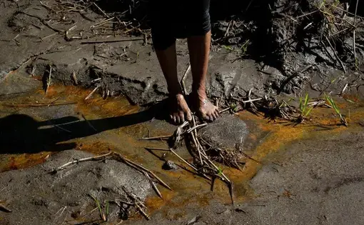 Monitoreo de la contaminación de petróleo sobre el río Coca