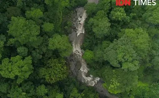 Aerial view of a river in Petungkriyono tropical rainforest, Pekalongan, Central Java.