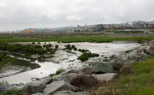 The Tijuana Estuary