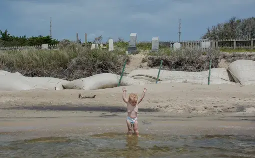 A baby playing in the water at the beach.