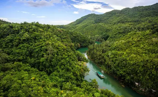 View of a river in a forest from a cable car.