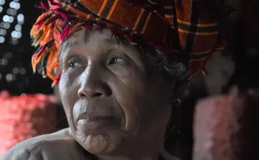 close up photo of Pa’O farmer Daw May Thant's face in her house after the harvest. she looks off to the left and is wearing a headdress