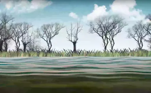 illustration of trees along a riverbank