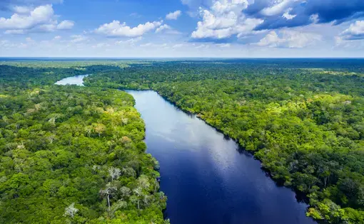 Overhead image of river and forest in the Amazon on clear day with clouds