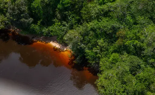 aerial view of a red river in the Amazon rainforest
