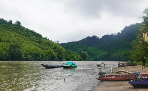 a half dozen small motorboats on a river and docked on the sandy margins