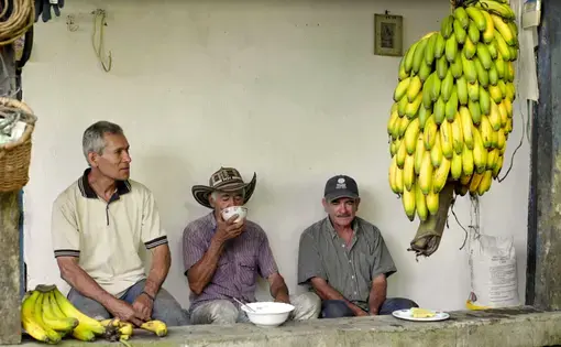 Estos son algunos de los tres campesinos de Jericó y Támesis, en Colombia, que aparecen en el documental 'Verde como el oro'. Ellos solían ser cazadores y ahora protegen al oso andino. © Captura del documental 'Verde como el oro'