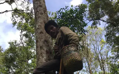 Foto: Barita News Lumbanbatu/ Mongabay Indonesia.