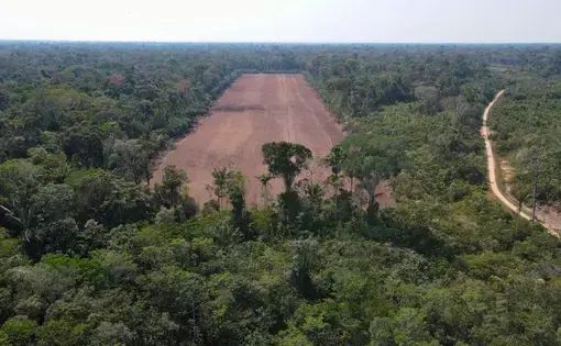 aerial view of partially deforested Ucayali forest in Peru
