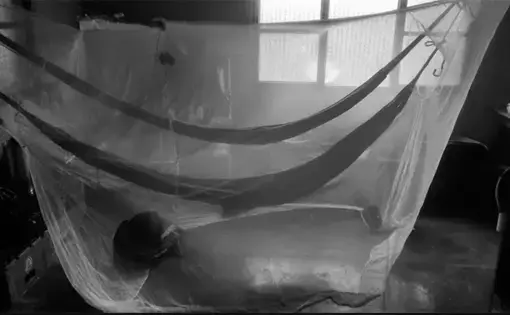 A black and white photo of a room featuring a mosquito net.