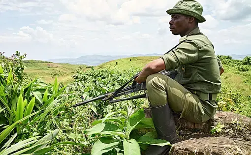 Ecoguard, Lébon Mabeka Kunafe, from the rapid response team, sits contemplatively on the stump of a tree that was illegally cut down in the 2018 deforestation incident in the high-altitude zone of the park. This land used to be a primary tropical forest. Bukavu is visible in the background about 40km away.
