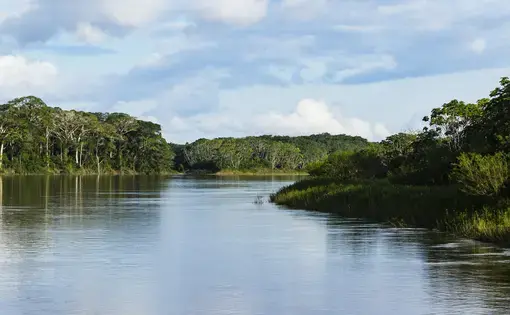 A river stream.