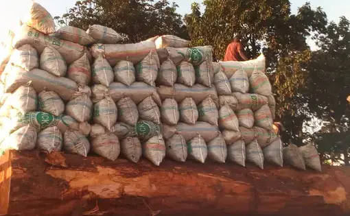 A pile of bags.