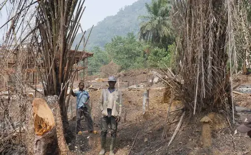 Two people stand between two trees.