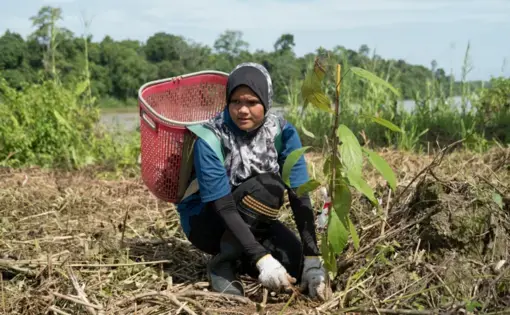 A person wears a basket on their back as she plants a tree seed.
