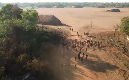 A crowd of people are walking towards a forest.