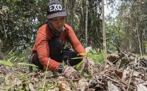 A person plants a tree as they squat.