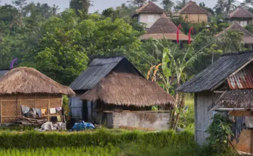 Six houses are near a rice field. In the foreground, there are trees and a mountain range.