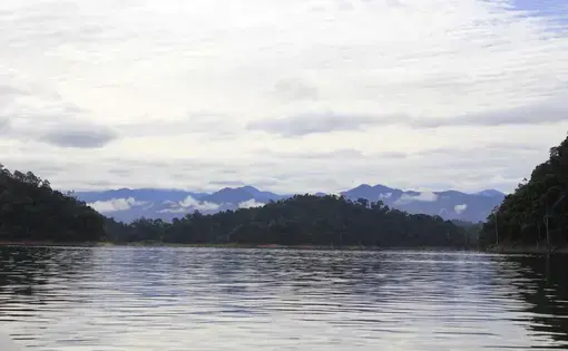 An aerial overview of a lush green tropical forest and a lake.