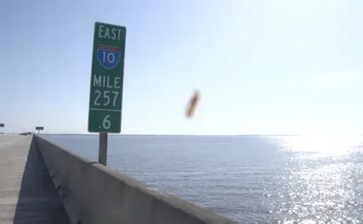 mosquito on camera lens