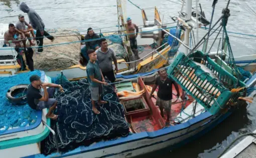 Three men are carrying fish using nets on a fishing boat by the sea.