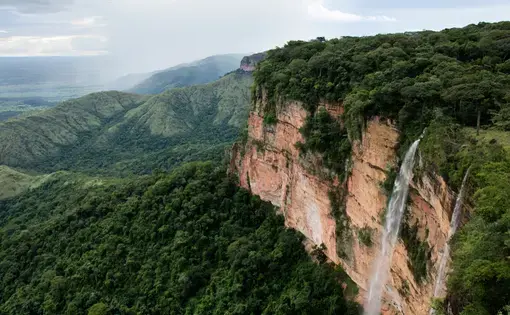 A waterfall covered in tropical lush forest treescape.