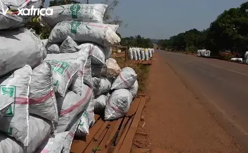 Coal sacks are stacked close to a road