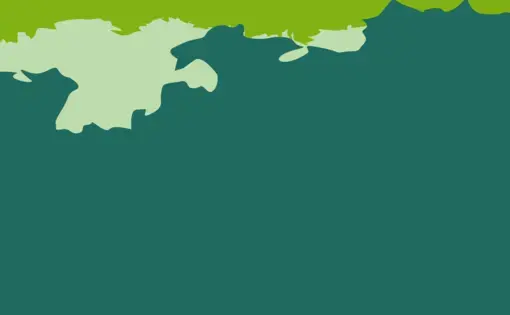 A green tropical rainforest logo.