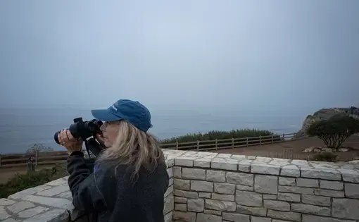 Woman taking picture