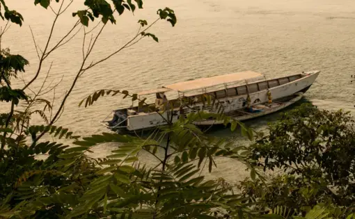a boat flots off a tropical forested shore