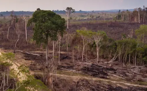 An aerial overview of deforestation in Brazil.