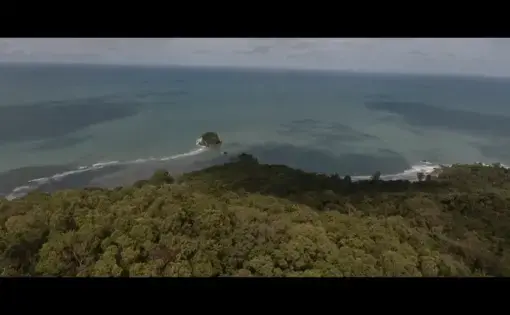 An aerial overview of a beach and the tropical rainforest of Bangka Island in Indonesia.