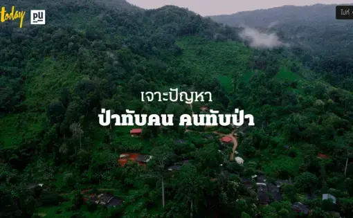An aerial overview of a Thai rainforest.