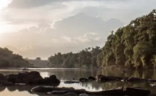 A national park in Ivory Coast.